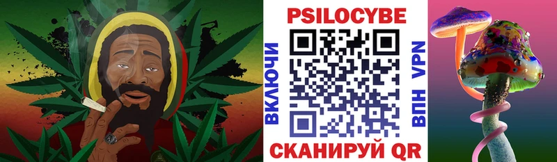 гидра   где купить наркоту  Новая Ладога  Галлюциногенные грибы GOLDEN TEACHER 