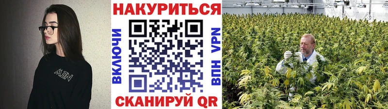 Каннабис конопля  shop формула  Новая Ладога  купить наркоту 